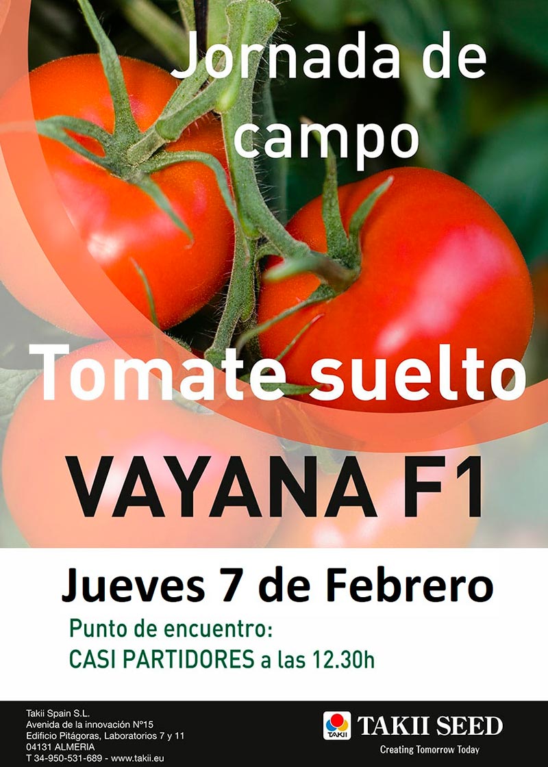 Día  7 de febrero. Jornada de campo de tomate de Takii Seed