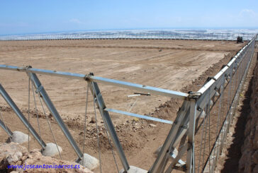 El Ejido registra en 3 meses más de 100 licencias para modernizar invernaderos