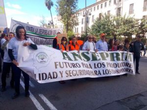 Manifestación en Valencia en defensa de la citricultura española. Naranjas.