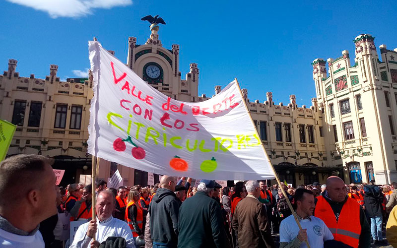 Valencia se llena de agricultores de toda España para defender la citricultura