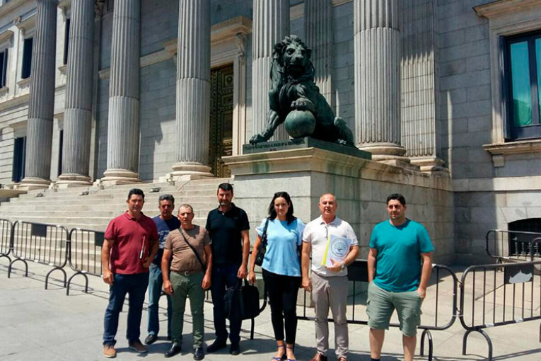 Anseprim en el Congreso de los Diputados