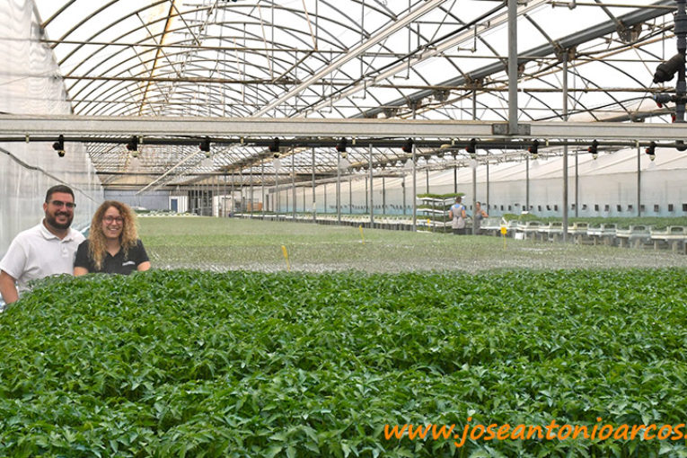 Cristalplant implementa en el semillero el Residuo Cero