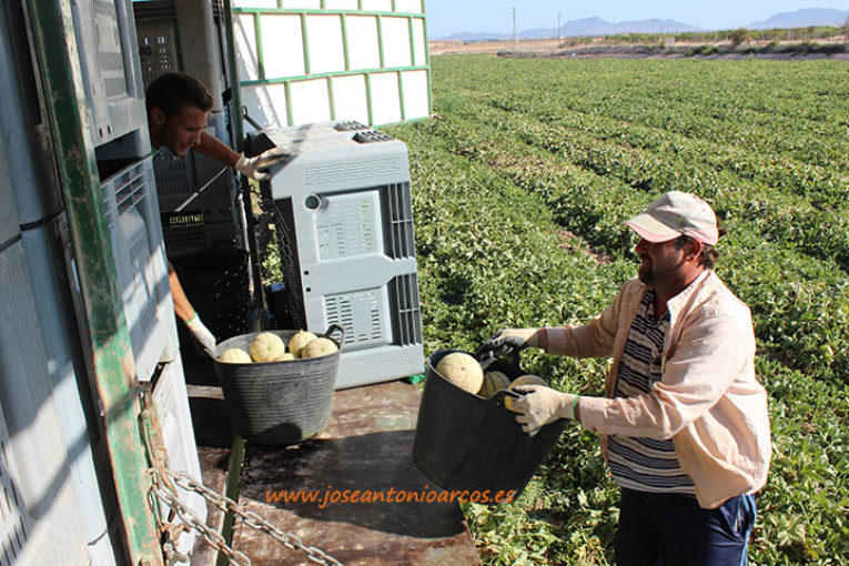 Asaja alerta del endeudamiento del agricultor murciano