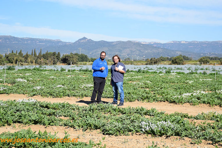 Verdcamp nos muestra la hortofruticultura de Tarragona