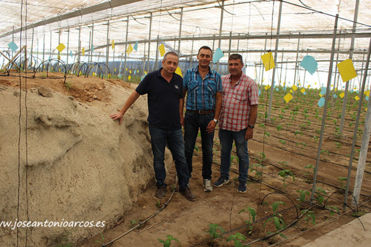 Herramientas biológicas en agricultura orgánica