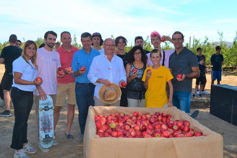 Girona prevé recolectar un 12% más de manzanas que hace un año