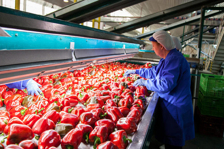 Enésimo récord en las cifras de exportación