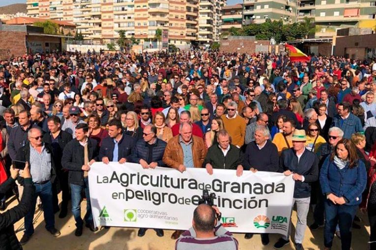Los 