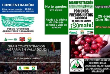 Avalancha de manifas agrícolas en toda España