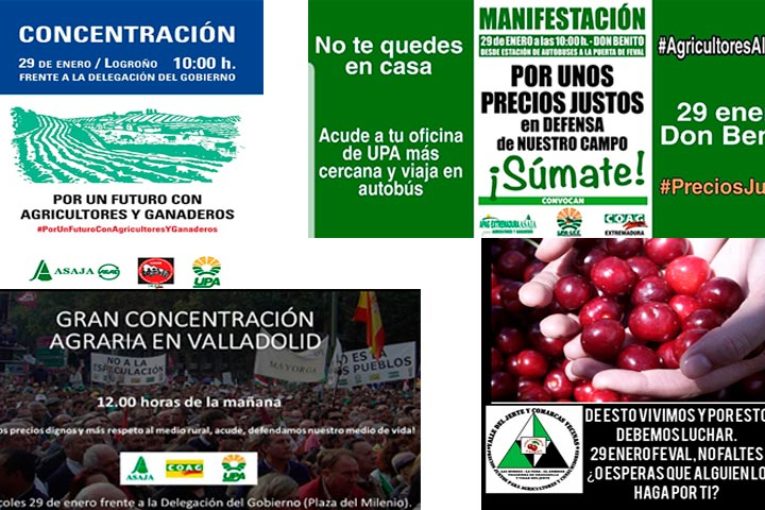 Avalancha de manifas agrícolas en toda España