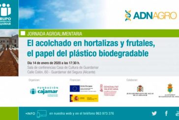 Día 14 de enero. Acolchado en hortalizas y frutales, el papel del plástico biodegradable