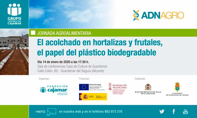 Día 14 de enero. Acolchado en hortalizas y frutales, el papel del plástico biodegradable