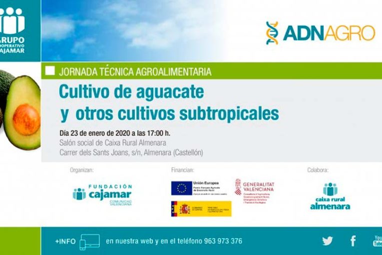 Día 23 de enero. Jornada 'Cultivo del aguacate y subtropicales’