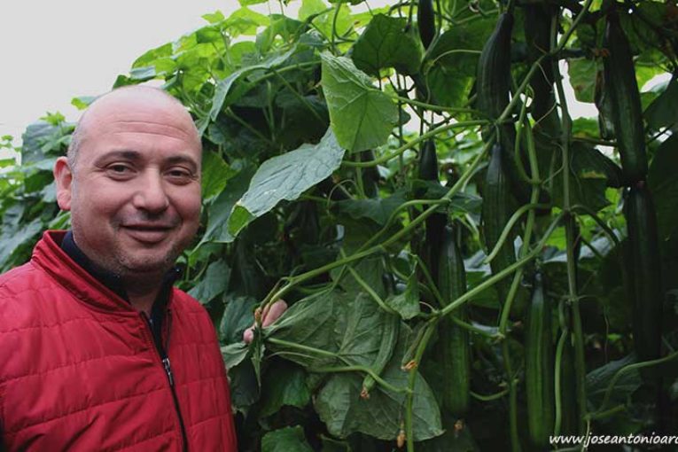 Sanidad vegetal cuando llega el frío