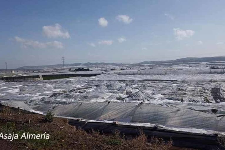 Un agricultor de Campohermoso fallece durante una granizada