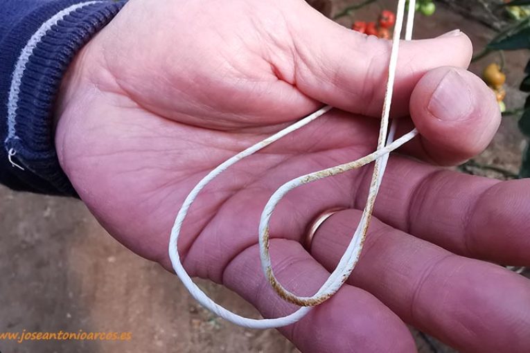 La rafia biodegradable se abre paso