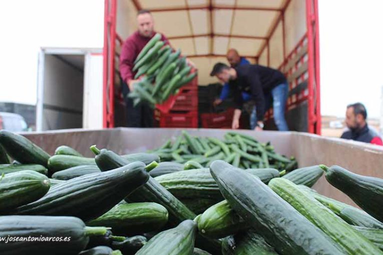 Verduras baratas con salarios cada día más altos