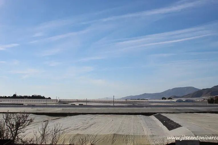Se agudiza el problema de rentabilidad en el 'modelo Almería'
