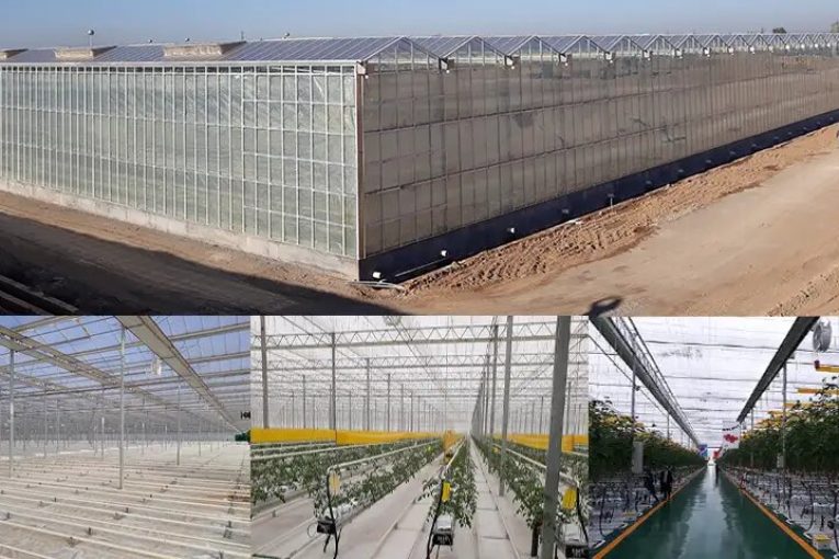 Tecnología almeriense en el invernadero más tecnificado de China