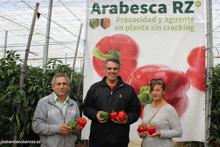 Rijk Zwaan refuerza su línea de pimientos con resistencias