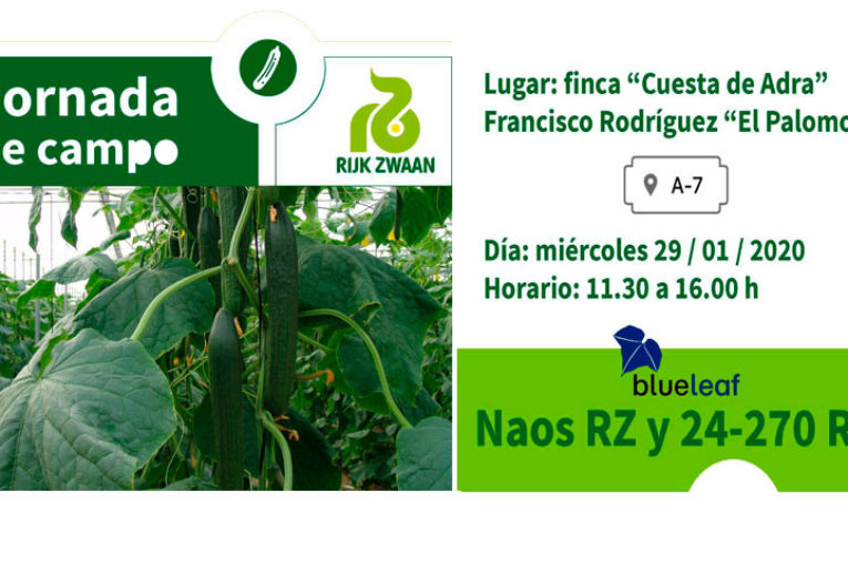 Día 29 de enero. Jornada de pepino de Rijk Zwaan