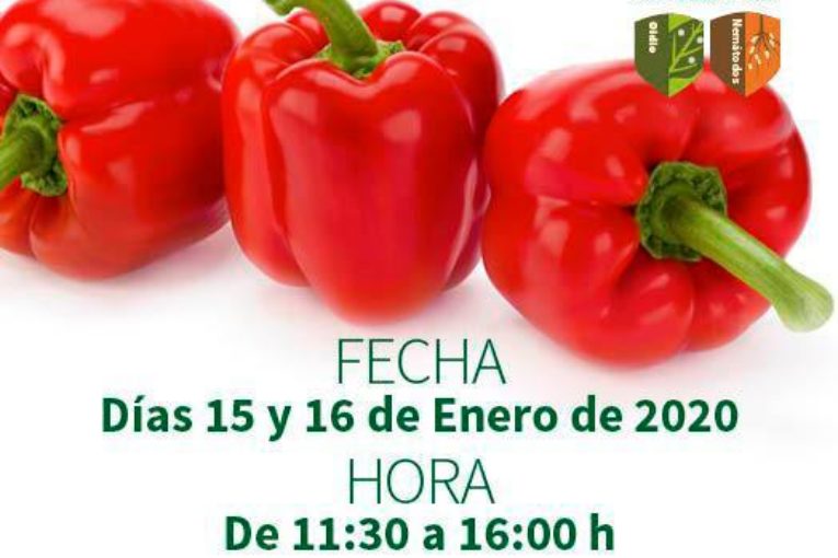 Días 15 y 16 de enero. Jornadas de pimiento de Rijk Zwaan