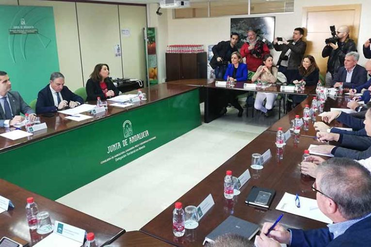 La Junta cree posible abrir nuevos mercados para salir de la crisis