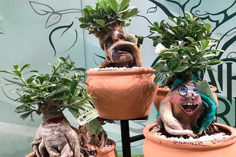 La planta ornamental se cita en la feria de Essen