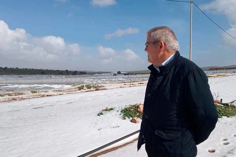 90 millones de euros por los suelos