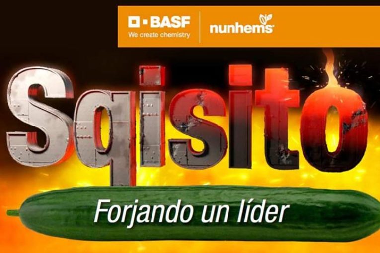 Días 21 y 22 de enero. Jornadas de pepino de Nunhems