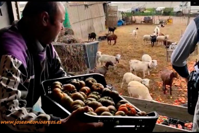 Asurcados a 10 céntimos para acabar el año (vídeo)