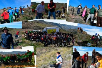 Almería se vuelca en la reforestación de la sierra de Gádor