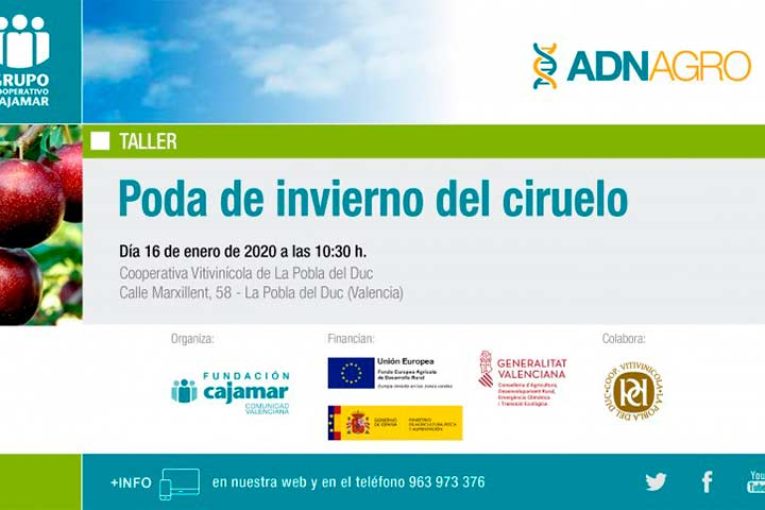 Día 16 de enero. Taller 'Poda de invierno del ciruelo'