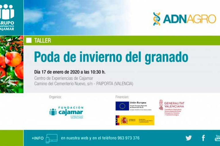 Día 17 de enero. Taller 'Poda de invierno del granado'