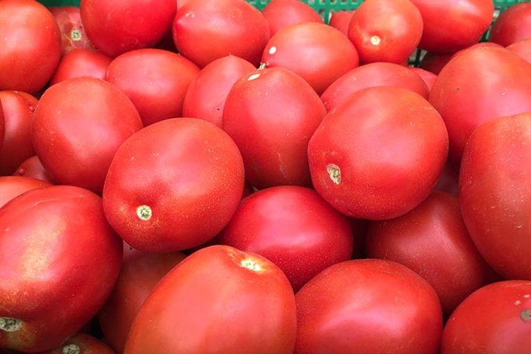 Ensayos para adelantar la coloración en tomate y pimiento