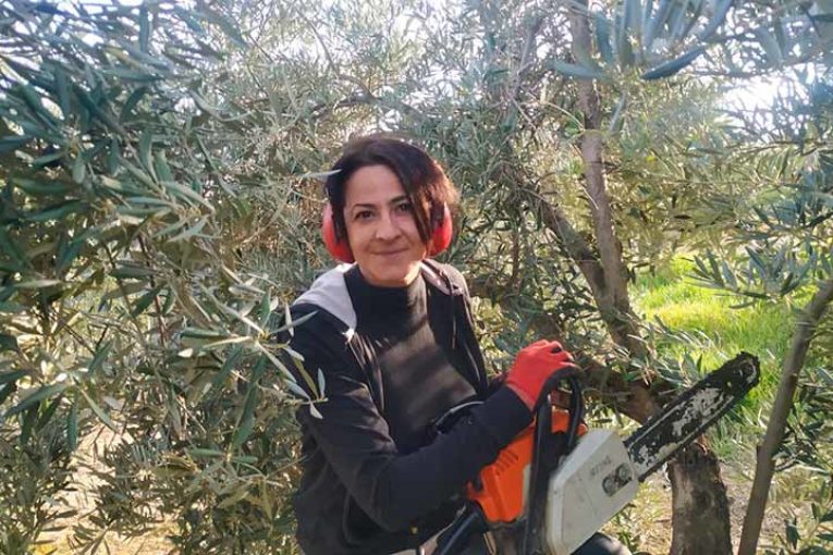 El mayor bosque humanizado del Planeta se muere en Jaén