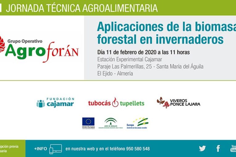 Día 11 de febrero. Aplicación de biomasa forestal en invernadero