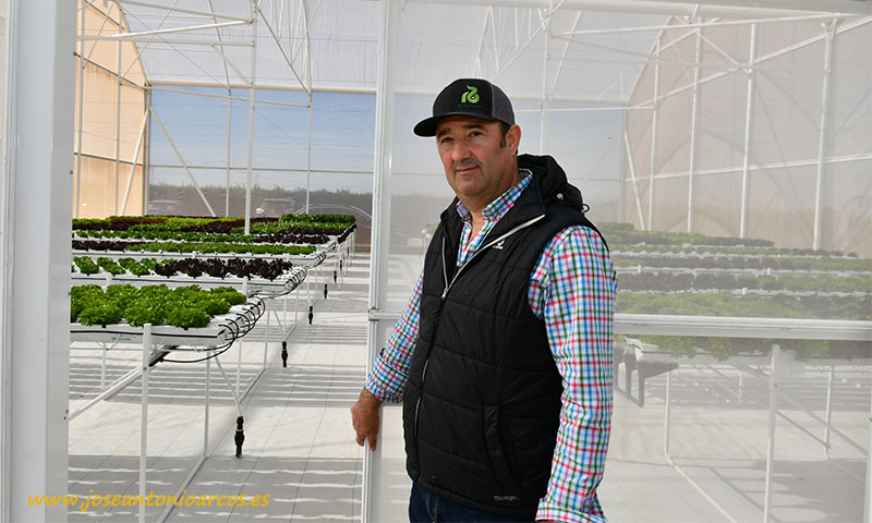 José Luis Saiz, coordinador de lechuga de Rijk Zwaan en Europa, Medio Oriente y África. /joseantonioarcos.es