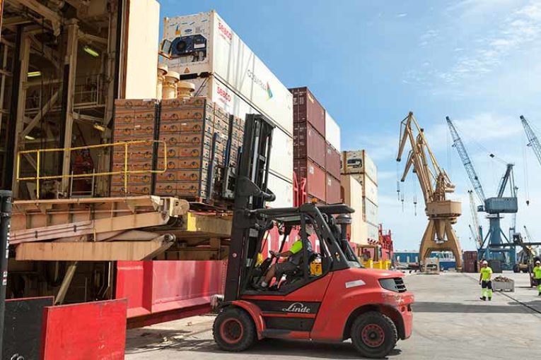 12 millones de toneladas de frutas y hortalizas movidas en los puertos