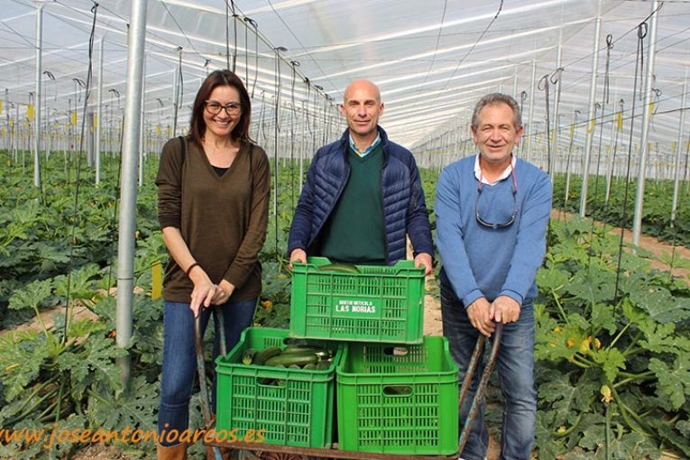 Icarus y Logos: el tándem de Syngenta en calabacín