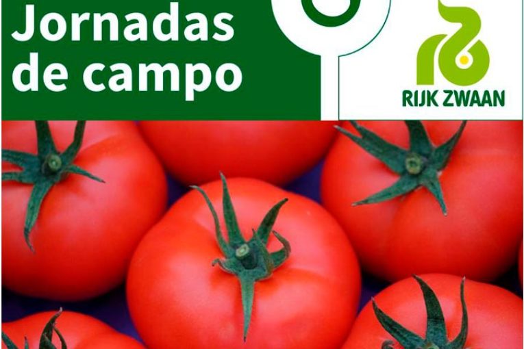 Días 25 y 26 de febrero. Jornadas de tomate de Rijk Zwaan