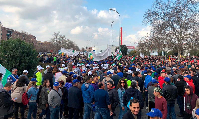 Granada rompe la hemeroteca en su protesta más multitudinaria