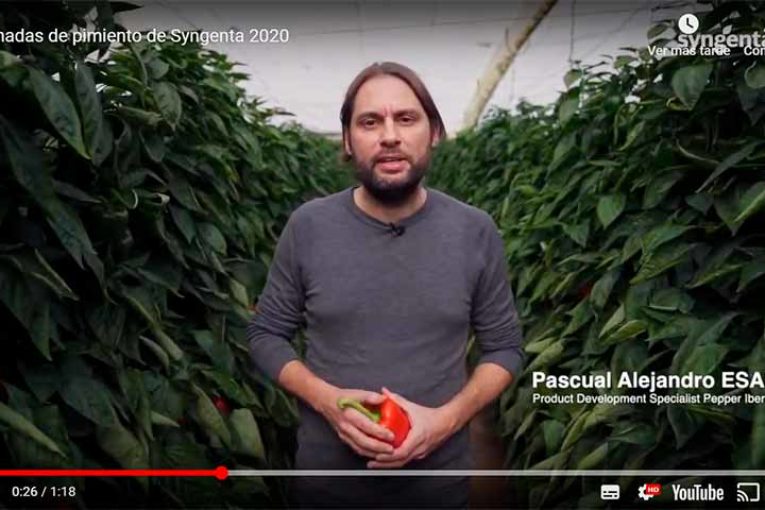 Dos nuevos rojos para tardío y con resistencias de Syngenta
