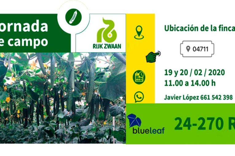 Días 19 y 20 de febrero. Jornada de pepino de Rijk Zwaan
