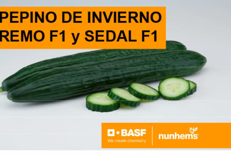 Día 11 de febrero. Jornada de pepino de Nunhems