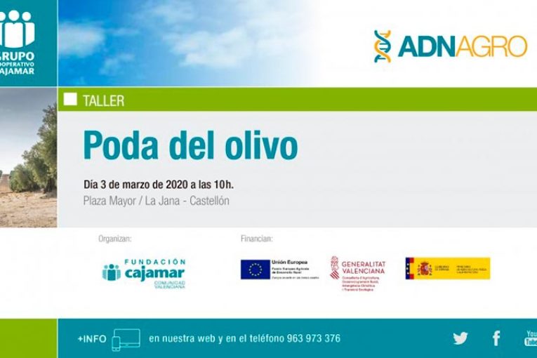 Día 3 de marzo. Taller 'Poda del olivo'