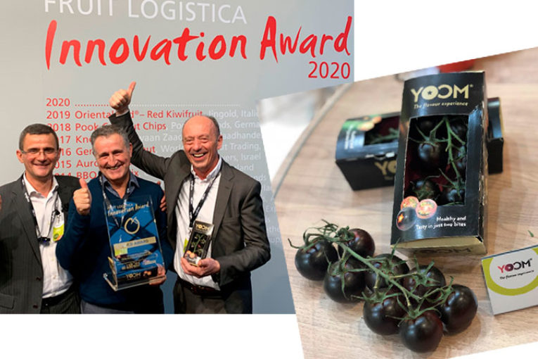 Yoom, el tomate ganador de Fruit Logística 2020