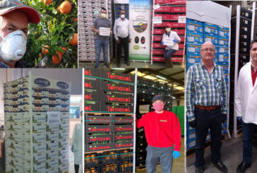 Agricultores de Almería donan verdura y fruta a los sanitarios del Ifema