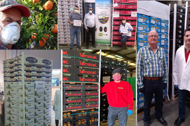 Agricultores de Almería donan verdura y fruta a los sanitarios del Ifema