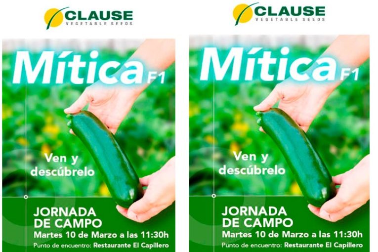Día 10 de marzo. Jornada de calabacín de Clause